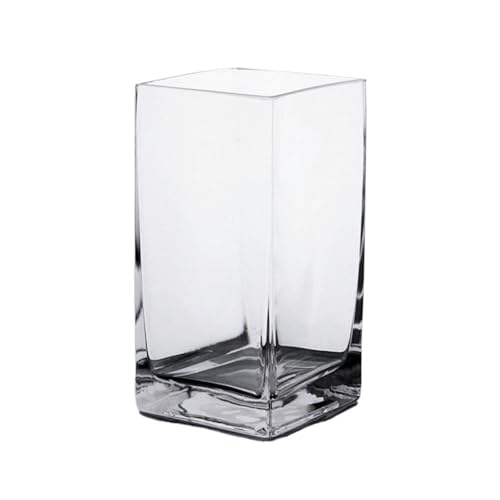 Aquarium Verdicktes Glas Aquarium Kleine Desktop Transparent Quadrat Aquarium Hause Dekorative Glas Vase Blumenvase Aquarium-Kit