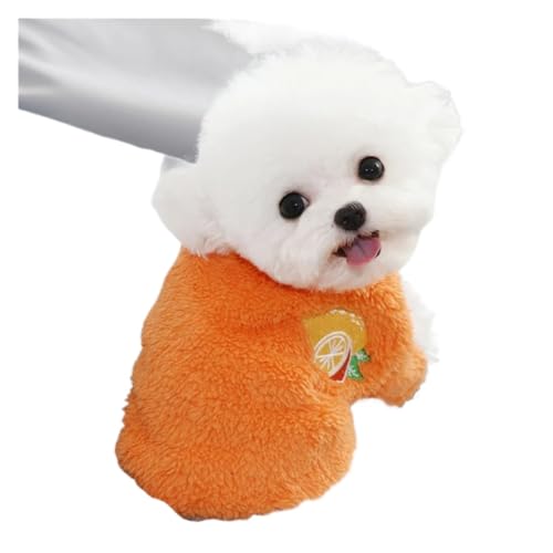 Hundekleidung, warmes Welpen-Outfit, Chihuahua, Haustierkleidung, passend für kleine Hunde, Mantel, Kapuzenpullover, Obst, Haustierkleidung (Orange, S)