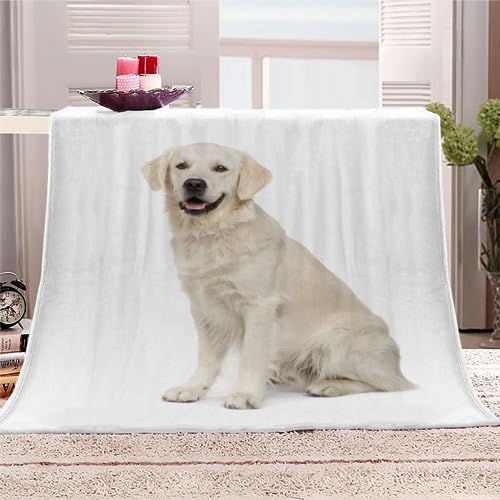 Kuscheldecke Golden Retriever Flauschige Wohndecke Hund, Haustier Weich Fleecedeck Tagesdecke Sofadecke Wärme Flanell Decke für Couch Bett Stuhl Büro Sommer personalisierte Decke 130x150cm