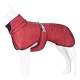 XINGLIDA Haustier-Winter-Overall für Hunde, 2 Beine, Welpen, winddicht, mit Leinenhaken, warmer Mantel, dickes Futter, für kleine Hunde