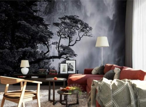 Schwarz-Weiß-Landschaft Wasserfall 3D Tapete Poster Restaurant Schlafzimmer Wohnzimmer Sofa TV Dekorative Wand-250cm×170cm