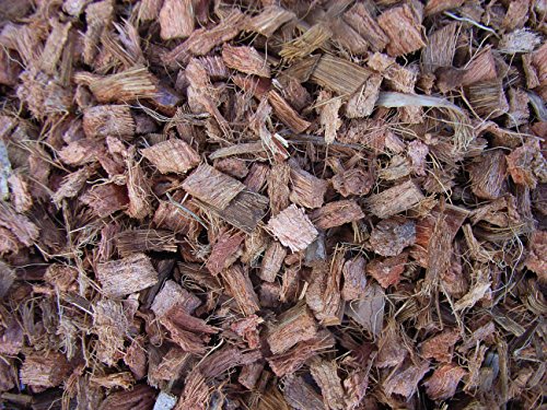 Mulch Chips aus 100 % Kokos, grob, 50 Liter, (EUR 0,52/Liter), Kokoschips, Einstreu geeignet als Unkrautschutz, Winterschutz, Pflanzenschutz, Schneckenschutz und Düngemittel, 100% biologisch abbaubar