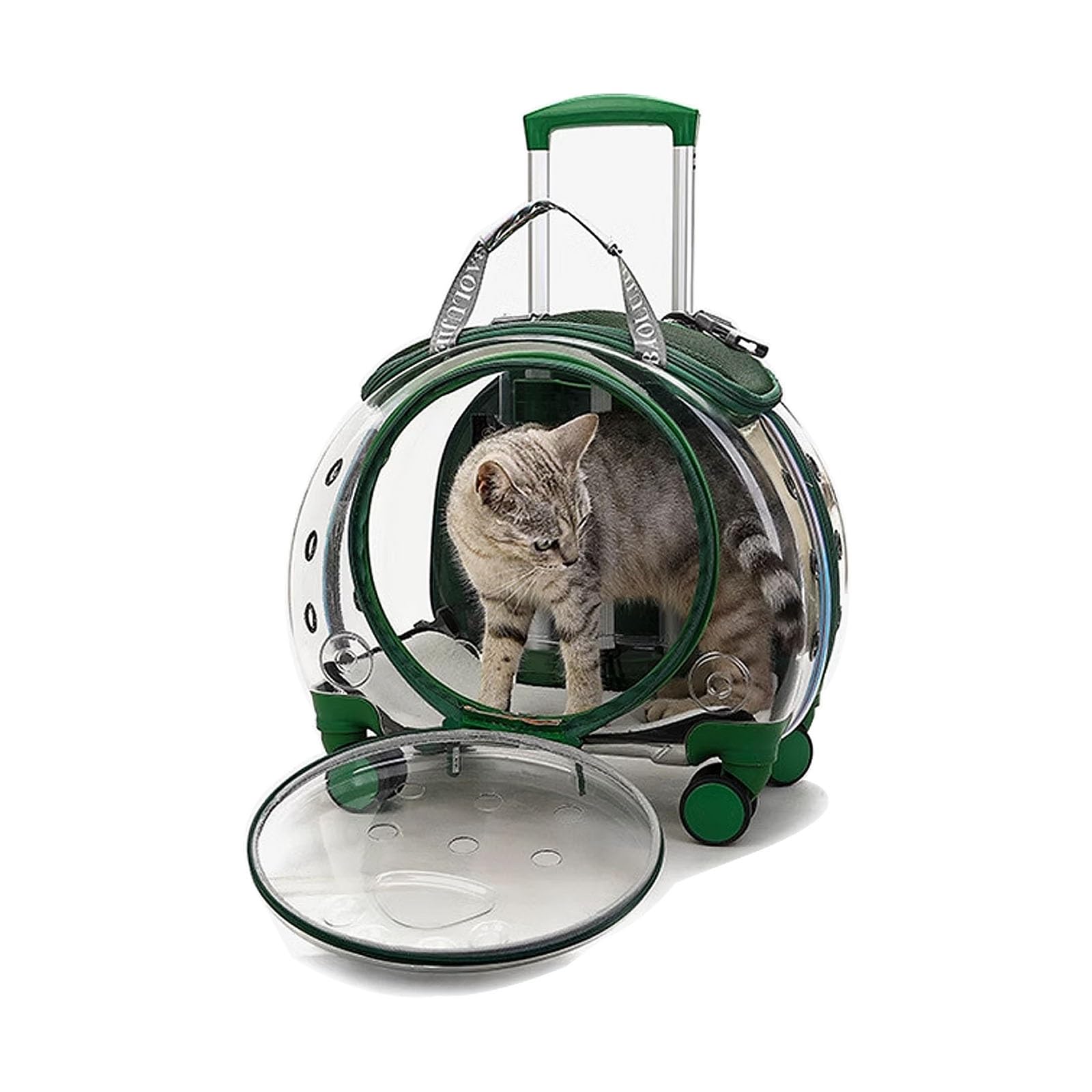 Haustier-Rucksackträger mit Rollen, Transparente Katzenrucksackträger für kleine Hunde Mittlere Katzen mit einem Gewicht von bis zu 9 kg, mit Baumwollmatte (Size : Green)