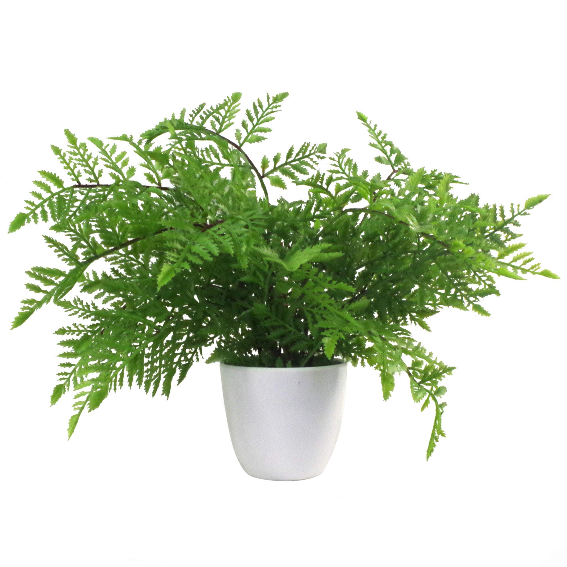 Leaf Mini Künstlicher Farn in Topf, 30 cm, Kunststoff, Southern Wood Fern