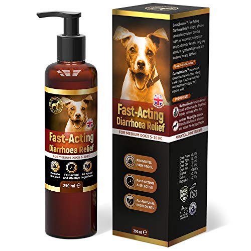 GastroBalance schnell wirkende Durchfallhilfe für Hunde – Natürliche Hunde durchfall behandlung mit sofortiger Wirkung (für MITTELGROßE Hunde 5-10 kg, 250 ml)