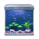 Aquarium, Mit Sauerstofffiltration Integriertes Glas Kleines Haushalts-Selbstzirkulierendes Aquarium mit Led-Leuchten Ökologisches Aquarium Fischglas