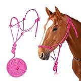 Seilhalfter mit Führseil, steif, Polyester, Pferde-Trainingshalfter (Rosa, 1,9 cm)