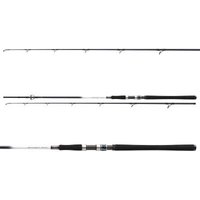 Daiwa Grandwave 2.40m 150-300g