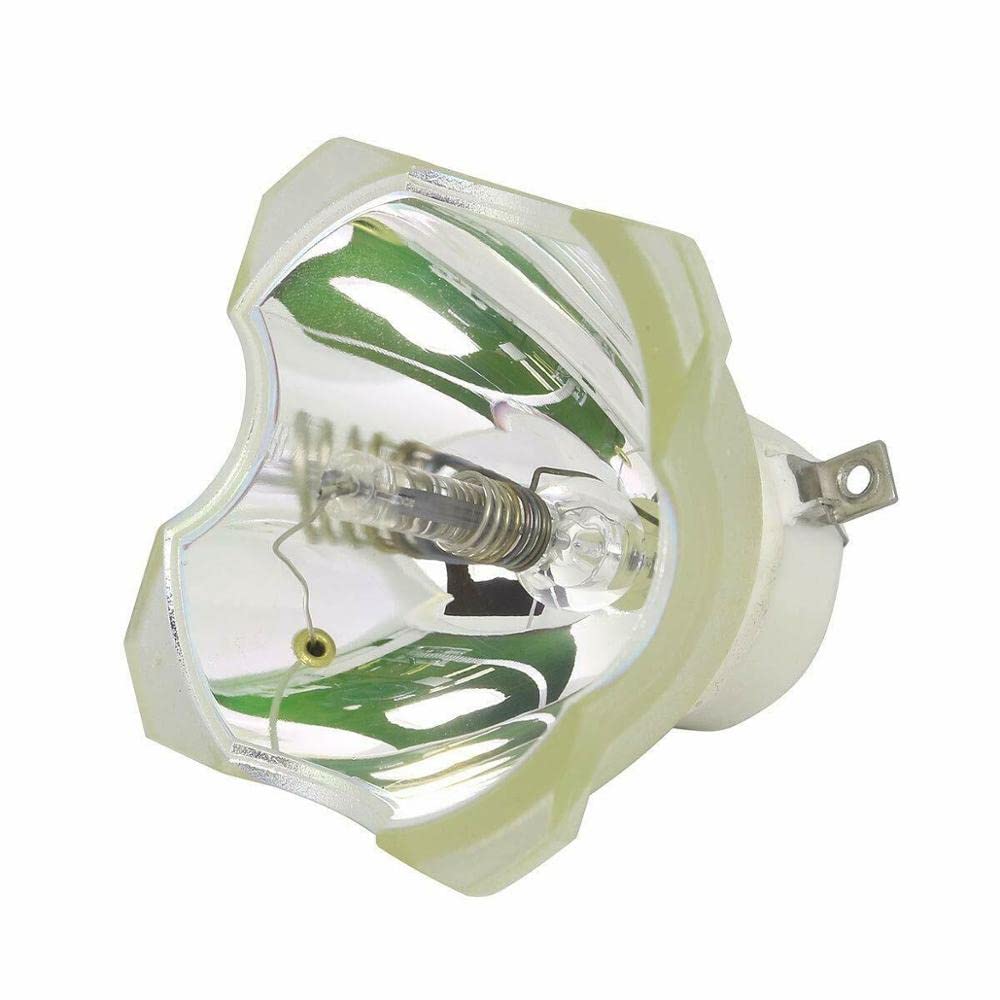 RS-LP09 Kompatible Bare Bulb Projektor Lampe ohne Gehäuse für Canon Realis WUX6000 WUX6010 XEED WUX6000 WUX6000D WUX6010