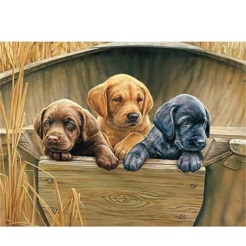 Diamond Painting Set Full Welpe Labrador DIY Diamant Malerei Bilder,5D Diamant Gemälde Strass Stickerei Kreuzstich-Set,Diamant malerei Kits Malen Nach Zahlen für Home Wall Decor (Round drill)30x40cm