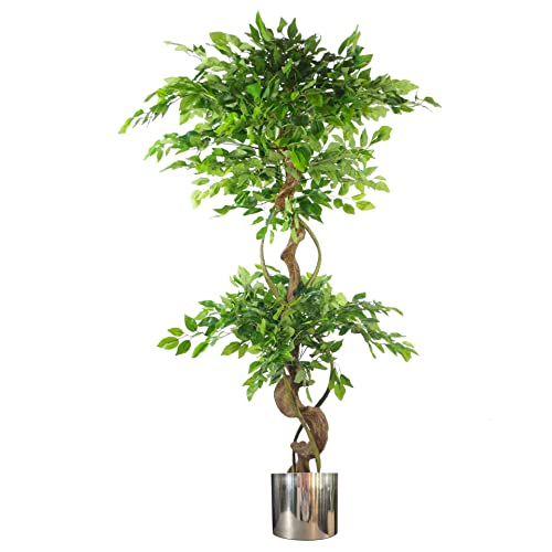 Leaf Künstlicher japanischer Fruticosa-Ficus-Baum, gedreht, groß, silberfarben, 150 cm