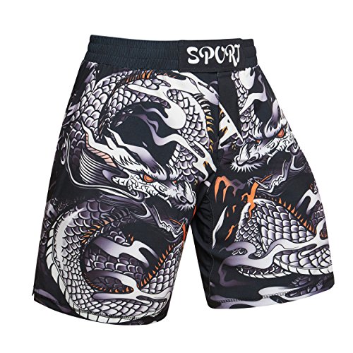 MMA Shorts zum Trainieren | Herren Kurze Trainingshose für Kampfsport | Kick-Boxing, UFC MMA, Grappling, Boxen, Käfig, Muay Thai, Freefight M L XL XXL - in verschiedenen Designs (XXL, Variante 6)