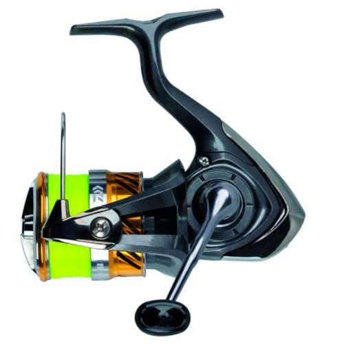 Daiwa 20 Laguna LT 3000-C Spinnrolle bespult mit 0,19mm J-Braid X4 Schnur