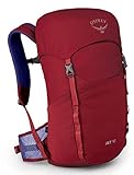 Osprey Jet 18 Wanderrucksack für Kinder, unisex - Cosmic Red O/S