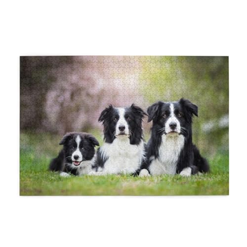 Border-Collie-Familie, Puzzles 1000 Teile Holzpuzzle Spielzeug Familienspiel Wanddekoration