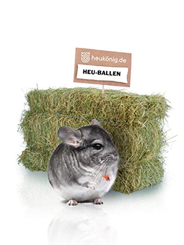 heukoenig.de Heuballen Ganzer Ballen Wiesenheu für Kaninchen Meerschweinchen Pferde