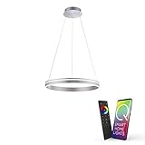 Paul Neuhaus Q-VITO LED Pendelleuchte, Works with Alexa - Smart Home, Fernbedienung CCT warmeiß - kaltweiß (59cm Silber)…