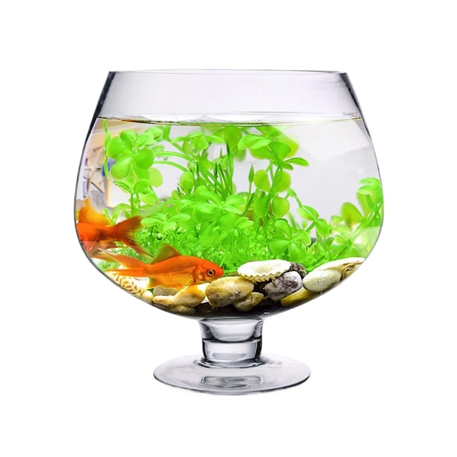 Aquarium Kleines Aquarium aus verdicktem transparentem Glas, Aquarium for den Schreibtisch, Schildkrötenbecken, kreatives Kelchmodellierungsdesign Aquarium-Kit(27cmx19.5cm)