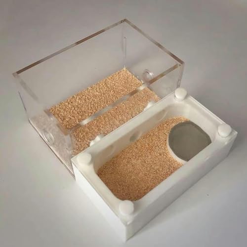 Acryl AntHouse Ameisennest Insekt Villa Natürliche Ameisenfarm Aus Sand Formicarium Display Box Set (Color : C)-1