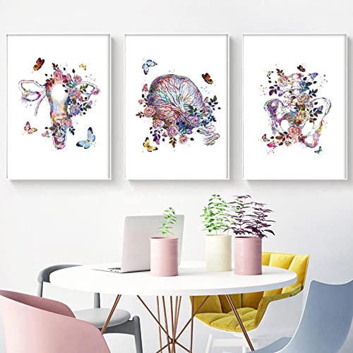 Aquarell Poster Anatomie Blumen Uterus Plazenta Kunst Malerei Leinwand Drucke Geburtshelfer Büro Dekoration-50x70cmx3 Rahmenlos