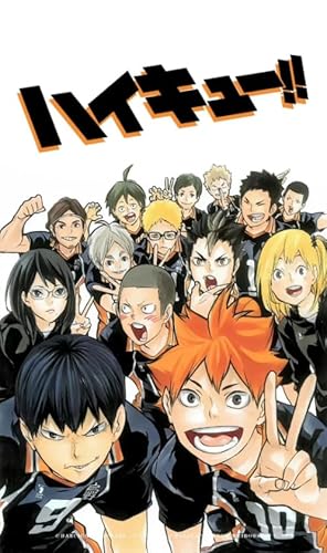 HfmQuisutron Jigsaw Puzzle 1000 Teile Sport Anime Haikyuu!!! Poster Holzpuzzle Home Stressabbau Spiel Yw160Az