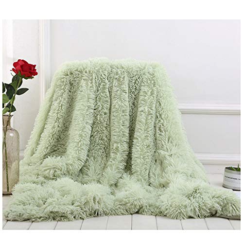 YOUCAI Kuscheldecke Weiche Flauschige Plüsch Decke TV-Decken/Sofadecke/Wohndecke/Mikrofaser Couchdecke Warmer Überwurfdecke 4 Jahreszeit Decke Grün 160x200cm