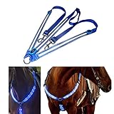 letaofang LED Pferdegeschirr, Horse Breastplate Collar Hohe Sichtbarkeit Tack Für Reiten Einstellbare Sicherheitsausrüstung