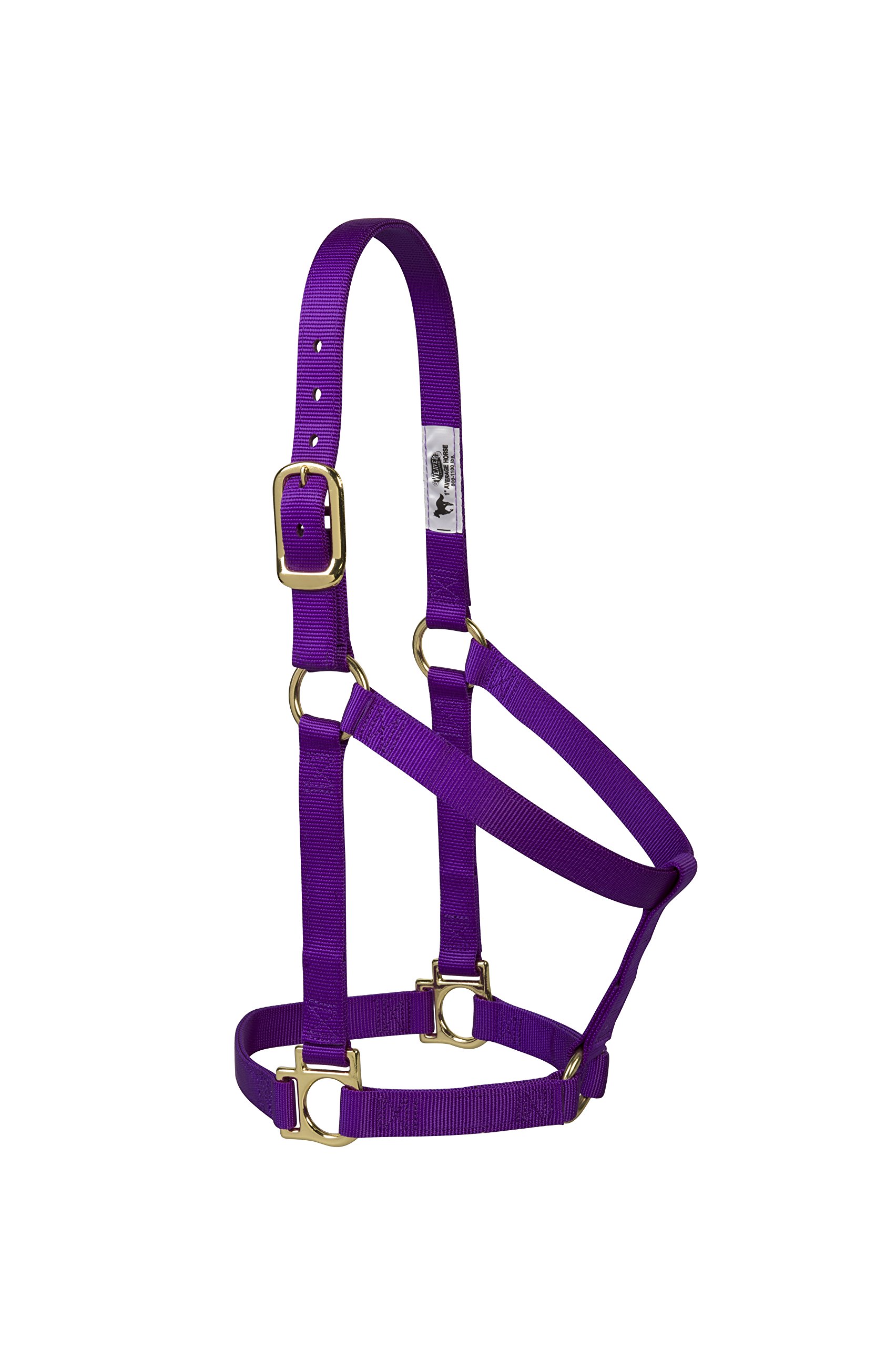 Weaver Leather 35–7404-TU Einfacher unverstellbarer Halfter, 25 mm für kleine Pferde, Türkis, 35-7406-PU, violett, 1-Inch Large Horse