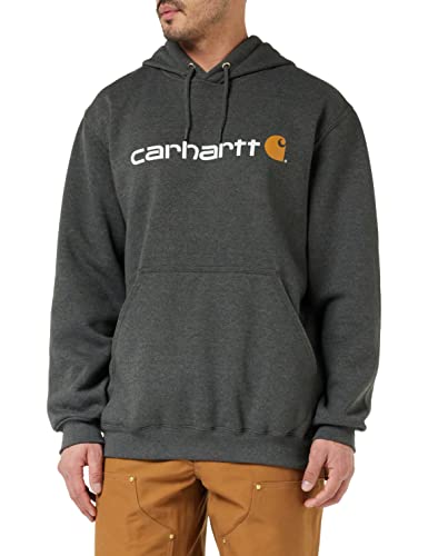 CARHARTT Sweatshirt »SIGNATURE«, Herren-Hoodie mit Loose Fit