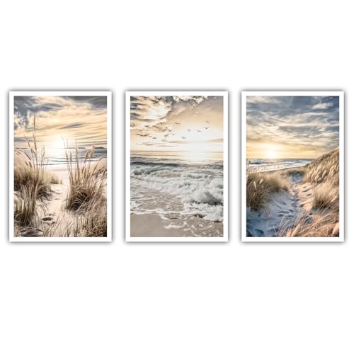 CanvasArts 3er Bilder Set - Poster ohne Rahmen - Strand Meer Beige Blau Braun Pampas Wohnzimmer Schlafzimmer Esszimmer (60 x 40 cm, Poster, Strand)