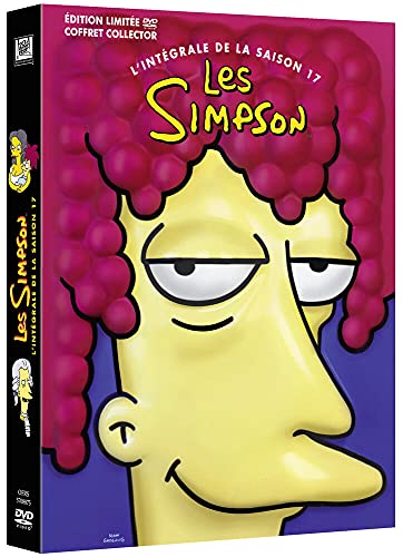 Coffret les simpson, saison 17 [FR Import]