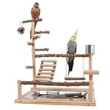 AOpghY Bird Playground Naturalholz Papageienständer mit Feeder Cup Bird Barch Ständer Spiel Fitnessstudio Guardgie Toys Mehrzweckpapagei