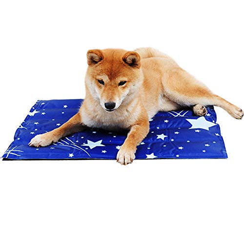 Rysmliuhan Shop Kühldecke Für Hunde Kühlmatte Für Katzen Trainingspads Kühlende Hundematte Kühlkissen für Hunde Kistenmatte Haustier Mat Hund Cool Mat Blue,l