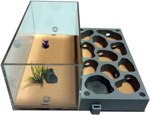 Großes Ameisennest Acryl Ameisenfarm Ameisen Haus Beton Insektenvilla Ameisenhaufen Ant Nest Pet Farmen Kit Formicarium Display Box Wissenschaft Bildungs-1