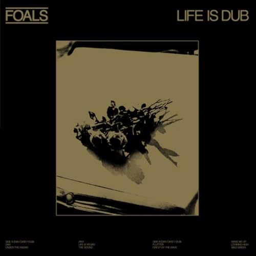 Life Is Dub [VINYL] [Vinyl LP]