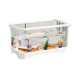 Aquarium Aquarium kleine Wohnzimmer Haushalt Desktop kleine transparente acryl schildkröte Tank schildkröte Box Aquarium-Kit(Weiß,31.5cm*16.5cm*16.5cm)