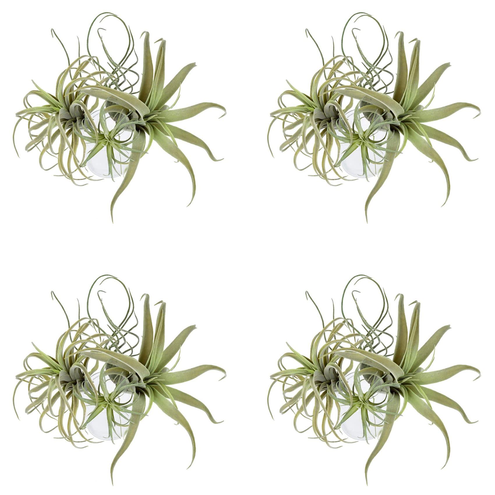 Kiudduy 16Pack Künstliche Ananas Gras Luft Pflanzen Gefälschte Blumen Faux Flocking Tillandsia Bromelien Hausgarten Dekor