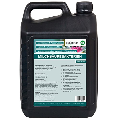 Teichpoint 5 Liter Original Milchsäurebakterien, Probiotische Bakterienkulturen für Koi, Koiteich u. Gartenteich zum Algenabbau und Schadstoffabbau im Teichwasser