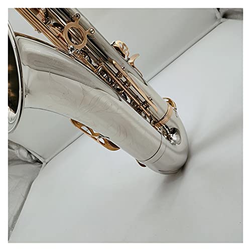 Tenor Saxo-Saxophon-Nickel-Goldene- Tasten Holzwind- Instrument Mit Fallmundstück (Color : Tenor Sax Case brown PU)