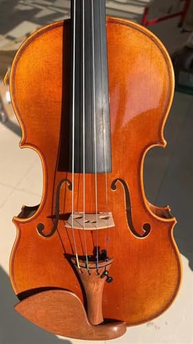 Standard Violine Starker Ton Ahorn Violine Brasilianisch(1/2)