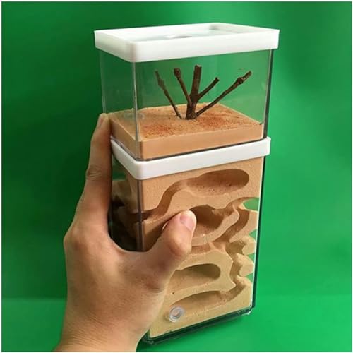 Ameisennest Natürliche Gips Ant Nest Ameisenfarm Ameisen Villa Formicarium Ameisenfutter Farm Haus Ameisen Zucht Box Ant House Für Ameisen Fütterung Habitat-1