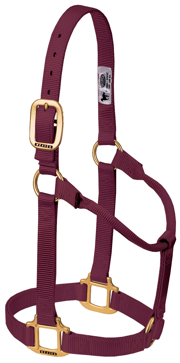 Weaver Leather Original Non-Adjustable Nylon Horse Halter, Large, Burgundy