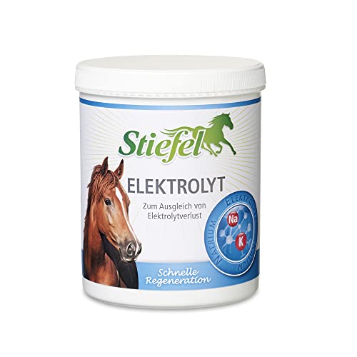 Stiefel Elektrolyt 1 kg