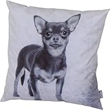 Siena Home Dekokissen ORA, Dessin Chihuahua Velvet 100% Polyester, Dessin 309-Chihuahua