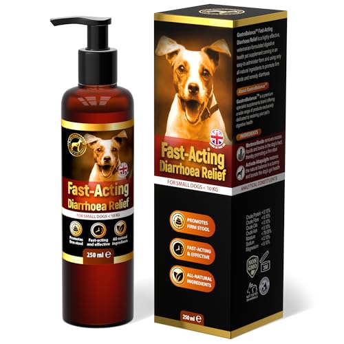 GastroBalance schnell wirkende Durchfallhilfe für Hunde – Natürliche Hunde durchfall behandlung mit sofortiger Wirkung (für KLEINE Hunde < 5 kg, 100 ml)