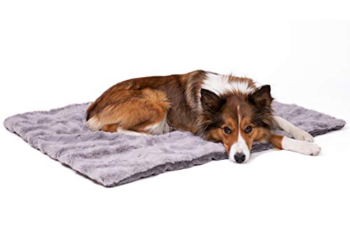 CopcoPet Hundedecke Cheyenne 120 x 100cm, Grau, waschbare Fleecedecke Hund, dicht gewebte Tierdecke, kuscheliger Schlafplatz für Hunde & Katzen