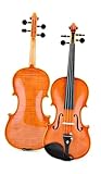 Standard Violine Violine Professionelle Musikinstrumente(4/4)