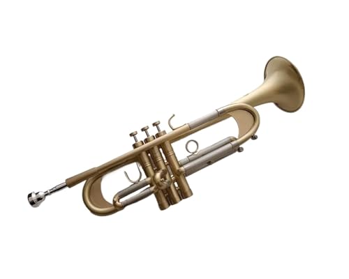 Standard Trompete Trompeteninstrument in B-Tonart akzentuiertes mattiertes Western-Blechblasinstrument gespielt von einer professionellen Band