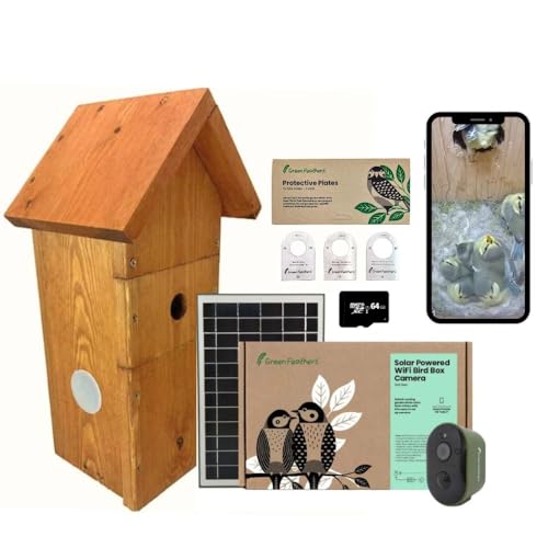 Green Feathers Batteriebetriebene Solar-Vogelhaus-Kamera mit Wi-Fi-Verbindung, Outdoor-Wildkamera für Vogelkästen (nur Solarkamera) (Komplettpaket)