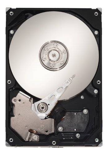 Seagate Constellation ES ST31000524NS Interne Festplatte 1TB (8,9 cm (3,5 Zoll), 7200 rpm, 8,5 ms Zugriffszeit, 32MB Cache)